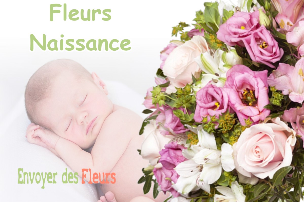 lIVRAISON FLEURS NAISSANCE à GREMILLY